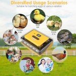 25-Egg Automatic Incubator with Humidity Control