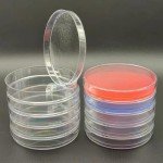 Set of 10 Clear Plastic Petri Dishes with Lids