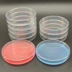 Set of 10 Clear Plastic Petri Dishes with Lids