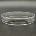 Set of 10 Clear Plastic Petri Dishes with Lids