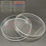 Set of 10 Clear Plastic Petri Dishes with Lids