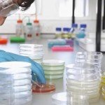 Set of 10 Clear Plastic Petri Dishes with Lids