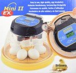 Brinsea Mini II EX Egg Incubator with Humidity Control