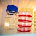 250 ml Borosilicate Glass Storage Bottles - 4 Pack