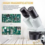 AmScope Binocular Stereo Microscope with LED Lighting