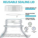 Heavy Duty 1/2 Gal Glass Milk Bottle Set