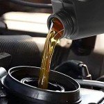 Hacaroa 3 Pack 1 Gallon Plastic Oil Jugs