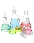 QWORK Borosilicate Glass Erlenmeyer Flask Set