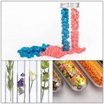 80Pcs 45ml Plastic Test Tubes with Caps