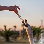 XTRM CRAFT 8-Inch Stainless Steel Dressing Forceps