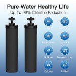 FACHIOO Gravity-Fed Stainless Steel Water Filter