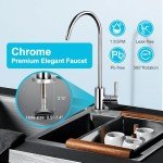 WINGSOL Under Sink Water Filter with Faucet