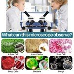 Powerful Biological Microscope Set for All Ages