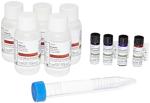 Science Paper Chromatography Kit for Chemical Separation