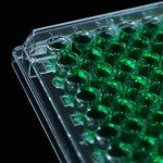 LVDALAB 96 Well Petri Dishes - Pack of 10