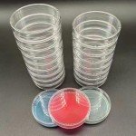 Set of 30 Clear Plastic Petri Dishes