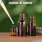 Teenitor 3ML Disposable Pipettes for Lab & Makeup