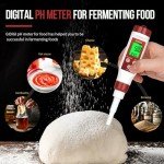 Digital pH Meter for Food and Fermentation Testing