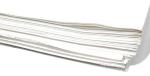 EISCO 100PK 8-Inch Chromatography Filter Papers