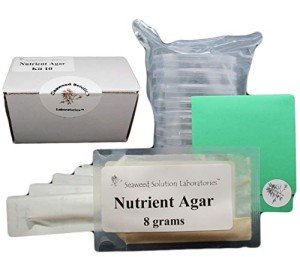 Nutrient Agar Kit with Petri Dishes and Swabs