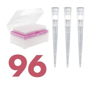 Kashi Scientific 200 µL Sterile Pipette Tips
