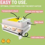Okköbi OBI-36 Automatic Egg Incubator for Birds