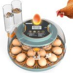 Automatic Egg Incubator for 18 Chicken & Quail Eggs