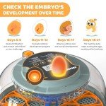 Automatic Egg Incubator for 18 Chicken & Quail Eggs