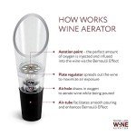 TenTen Labs Wine Aerator and Stopper Set (Black)