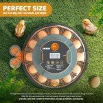 Automatic Egg Incubator for 18 Chicken & Quail Eggs