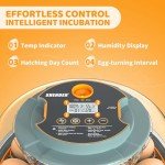 Automatic Egg Incubator for 18 Chicken & Quail Eggs