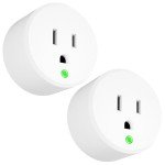 Thermostat Plug Outlet for Heated Water Bowls