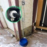 Thermostat Plug Outlet for Heated Water Bowls