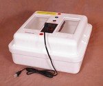 Little Giant Digital Still Air Incubator for 41 Eggs