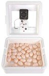 Little Giant Digital Still Air Incubator for 41 Eggs