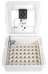 Little Giant Digital Still Air Incubator for 41 Eggs