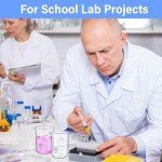 12-Pack 200ml Thick Glass Beakers with Spouts