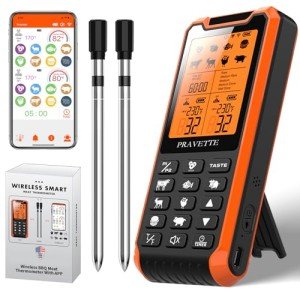 Bluetooth Meat Thermometer with Dual Probes