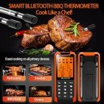 Bluetooth Meat Thermometer with Dual Probes