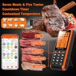 Bluetooth Meat Thermometer with Dual Probes