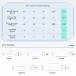 120mm High Borosilicate Glass Petri Dishes - 5pcs