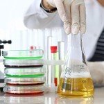 6-Pack 150ml Borosilicate Glass Erlenmeyer Flasks