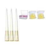 200µL Gamma Sterile Pipette Tips – 2000 Pack