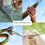 12" Rochester Pean Hemostat Forceps - Set of 2