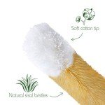 Bambaw 4-Piece Bottle Cleaner Brush Set