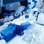 6 Pack 50ml Borosilicate Glass Storage Bottles