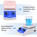 Magnetic Stirrer Hot Plate Mixer with Accessories