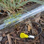 50" Clear Glass Extractor Tube with Clamp