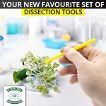 Multicolor Lab Dissecting Teasing Needles Set