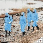 EZGOODZ Blue Disposable Coveralls with Hood - XXL